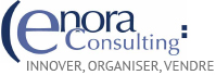 ENORA Consulting